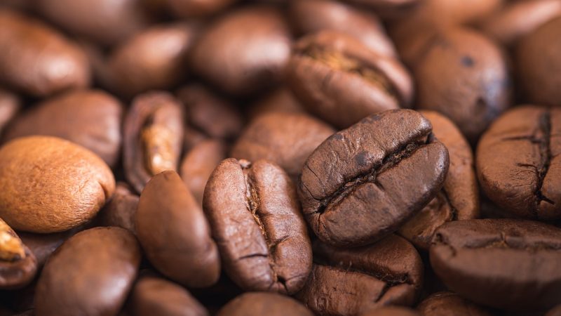 Moulin à café : comment le choisir ?